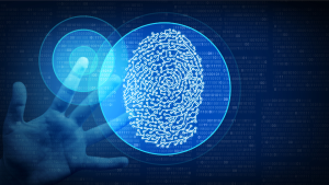 Silverfort Secures $116M for Comprehensive Identity Security Solutions-3